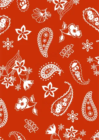 红色系 腰果花印花