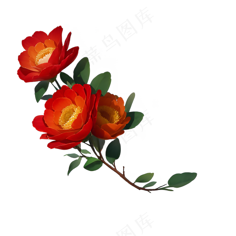 红色 海棠花 手绘 免抠 素材10