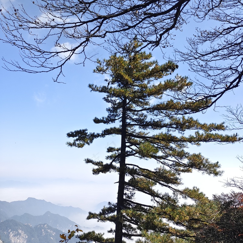 蓝天白云图片