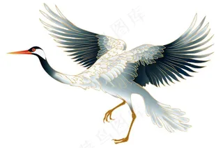 仙鹤国风插画免抠