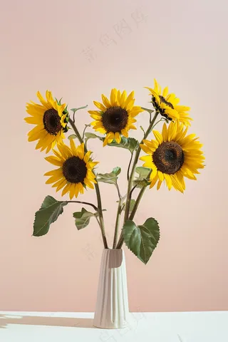 向日葵向阳鲜花摄影图