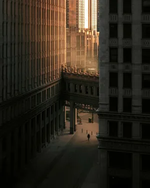 城市的夕阳