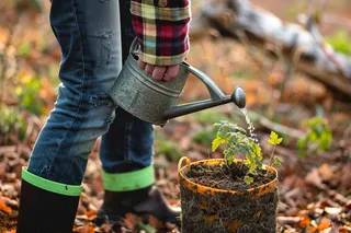 植树树苗保护环境摄影图