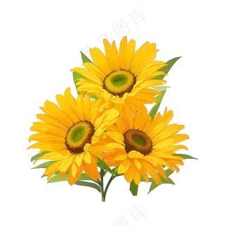 黄色向日葵花朵免抠素材51