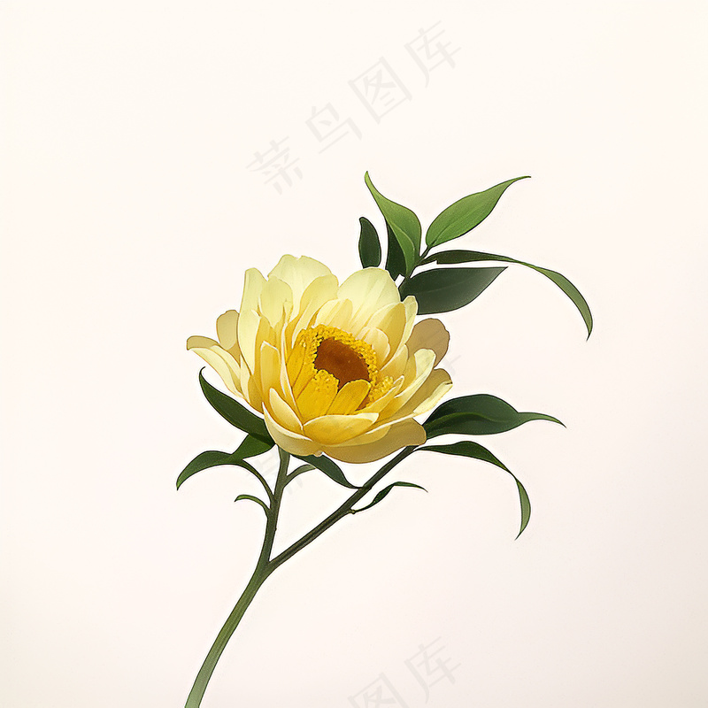 白色黄色手绘新中式风格花植物196