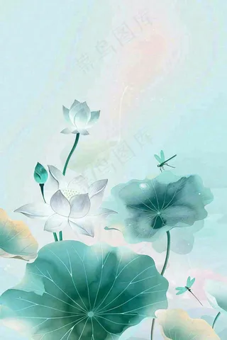夏天小清新荷花荷叶静雅弥散风绿粉色蜻蜓立夏夏至处暑插画背景