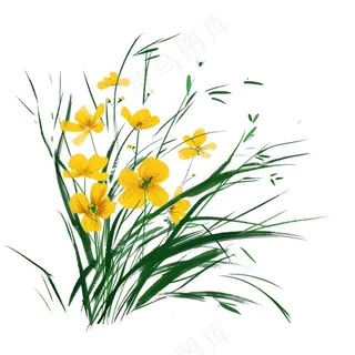 兰花水墨画中国风彩绘插画免抠