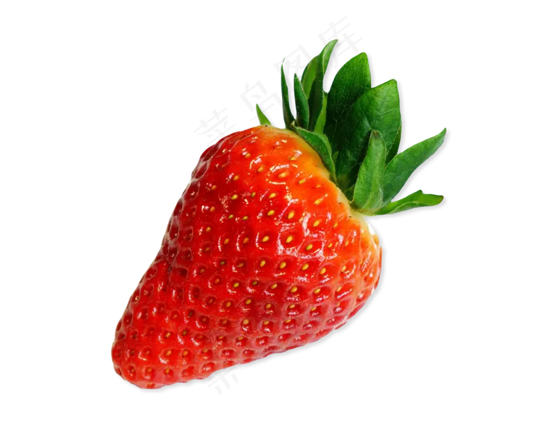 新鲜草莓水果