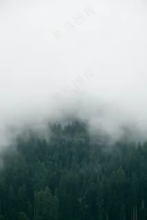 云雾森林图片 云雾森林图片