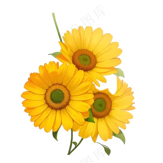黄色向日葵花朵免抠素材29