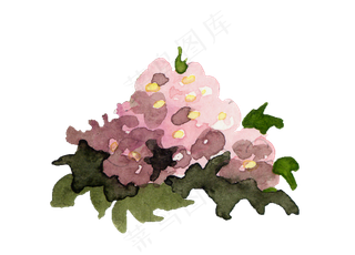 手绘植物草花免扣素材 