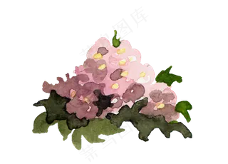 手绘植物草花免扣素材 