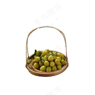 青梅 梅子一篮筐 透明图