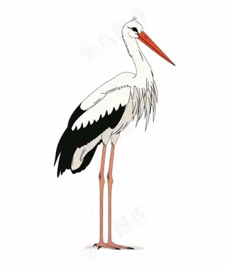 白鹤白鹭鸟国风插画免抠