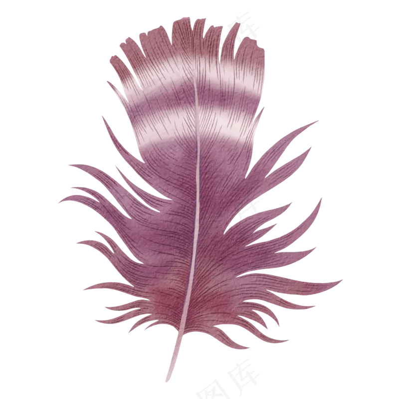 水彩羽毛素材