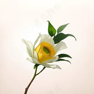 白色黄色手绘新中式风格花植物10