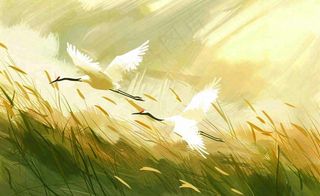 秋天白鹭飞鹤芦苇丛白露寒露节气插画背景