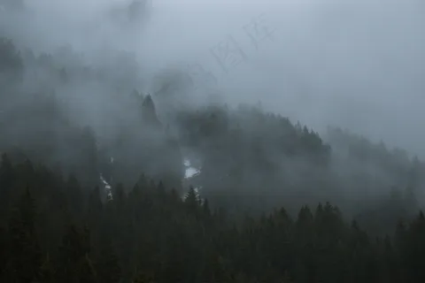 云雾森林图片 云雾森林图片