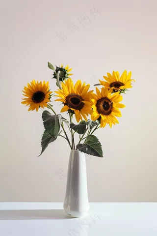 向日葵向阳鲜花摄影图