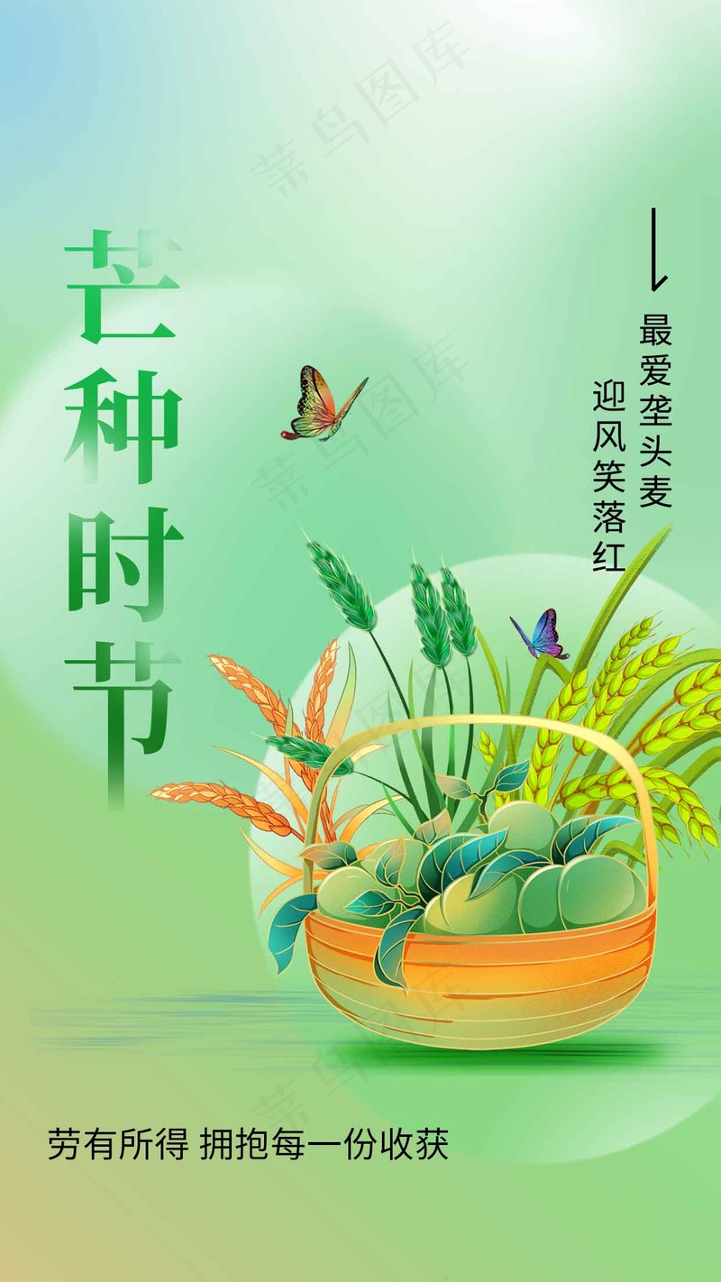 芒种节气传统活动海报psd模版下载