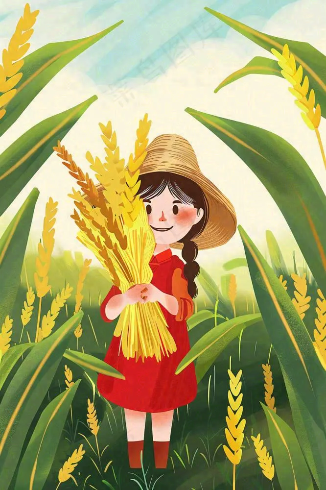 丰收季女孩抱着麦穗金黄的小麦稻穗农田芒种小满秋分立秋卡通插画背景(896x1344)
