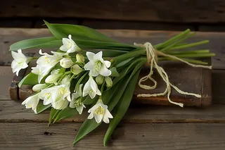 白花花朵鲜花绿叶花束摄影图