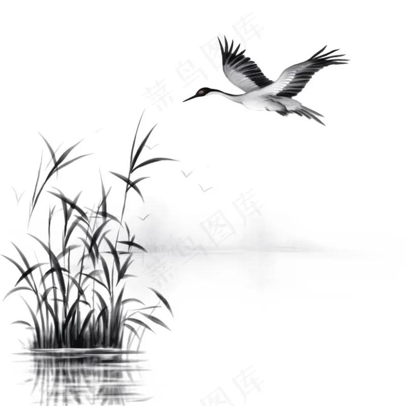 仙鹤白鹤飞过水草芦苇水墨画插画免抠(1024x1024)