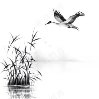 仙鹤白鹤飞过水草芦苇水墨画插画免抠