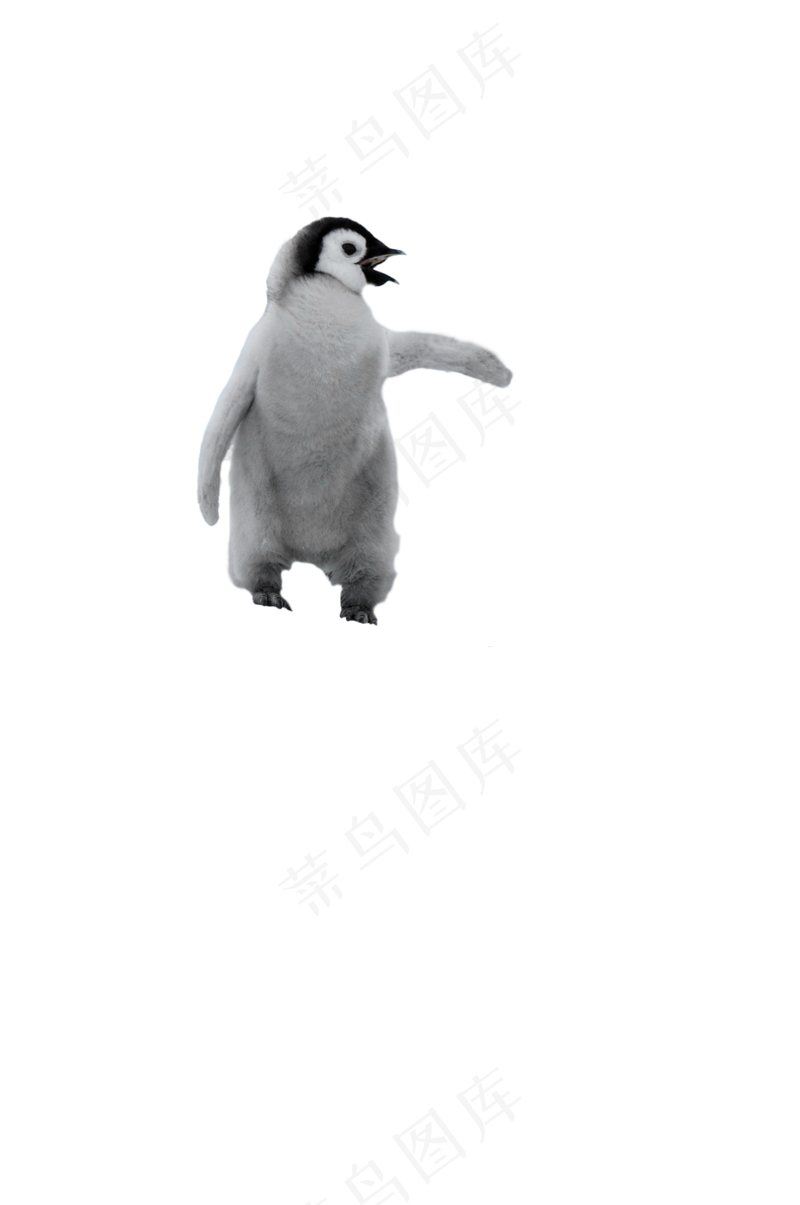企鹅宝宝 免抠