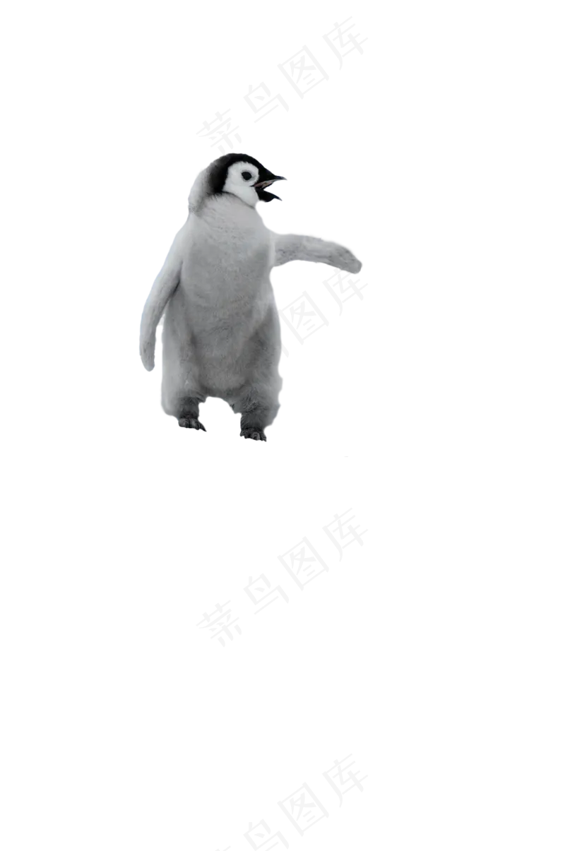 企鹅宝宝 免抠