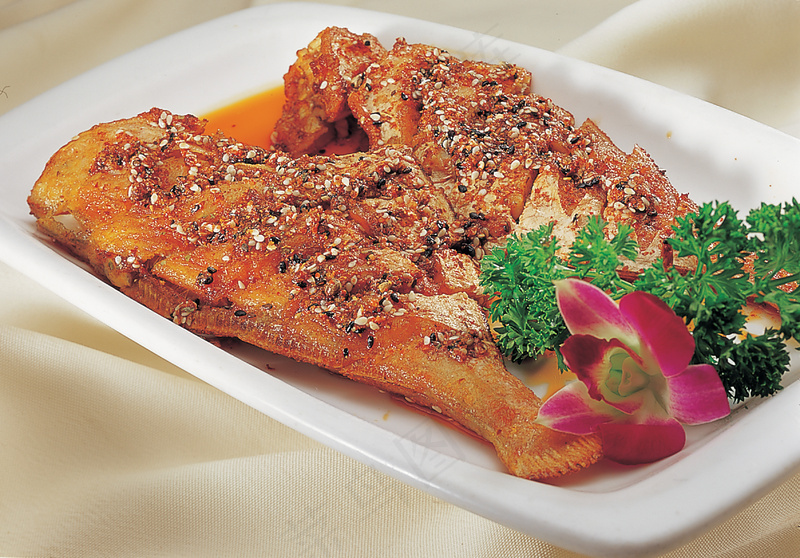 迷食马面鱼