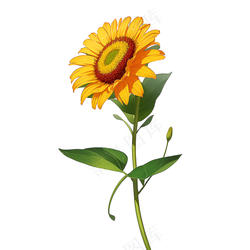 黄色向日葵免抠素材102
