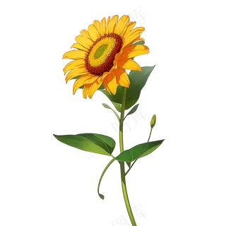 黄色向日葵免抠素材102