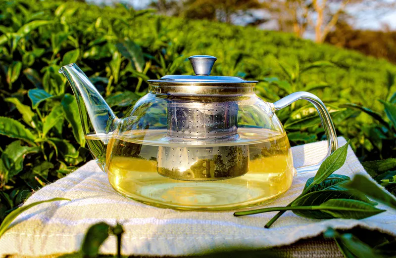 茶叶绿茶茶壶