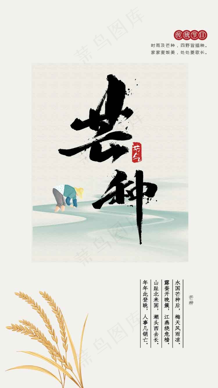 芒种节气传统海报psd模版下载