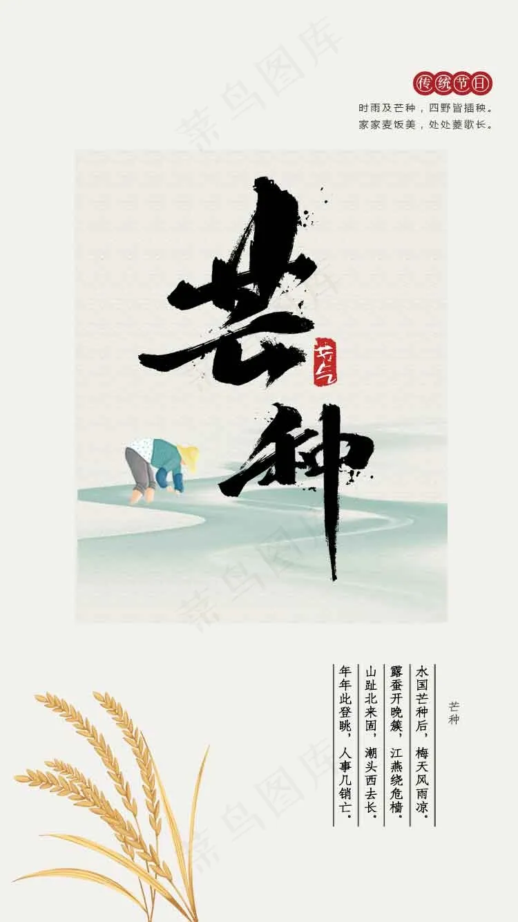 芒种节气传统海报psd模版下载