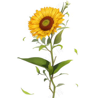 黄色向日葵免抠素材45