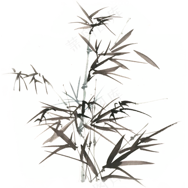 中国风水墨竹子图片古风竹叶竹林水彩手绘插画PNG免扣设计
