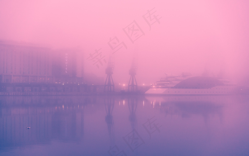 云雾森林图片