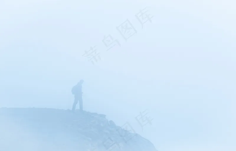 云雾森林图片