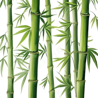 竹子竹叶竹林绿色卡通插画免抠