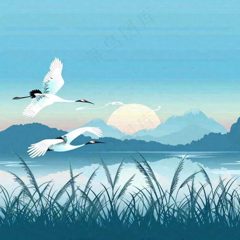 白鹭齐飞天水一色山水画芦苇荡清冷白露寒露插画背景(1024x1024)