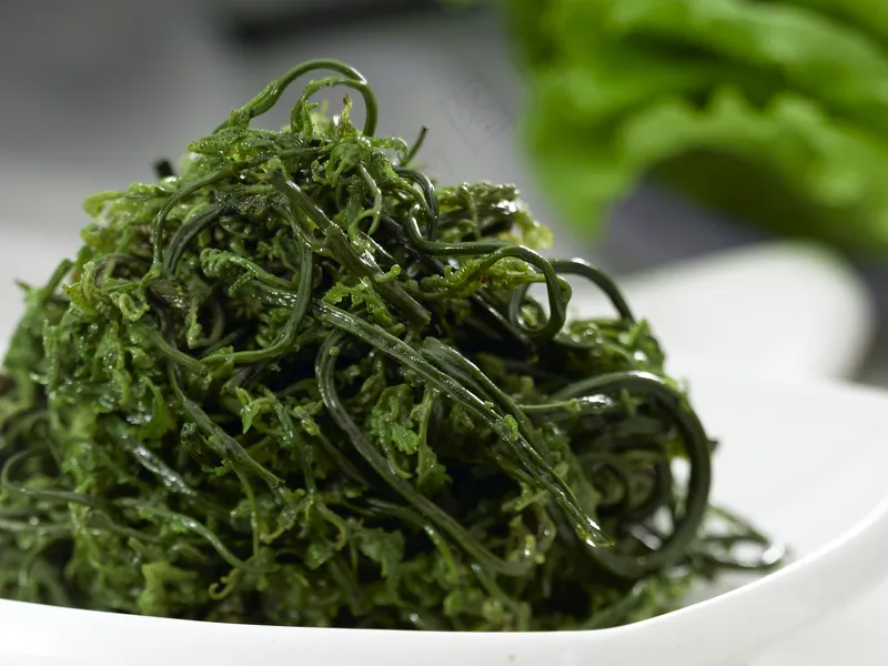 LCSC3825云龙山野菜12元份