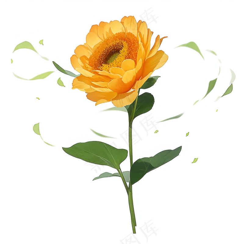 黄色向日葵免抠素材43