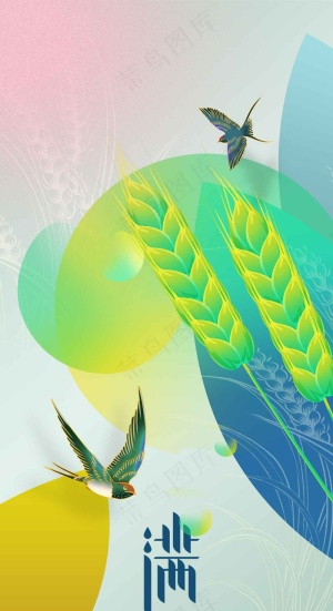 小满节气传统海报