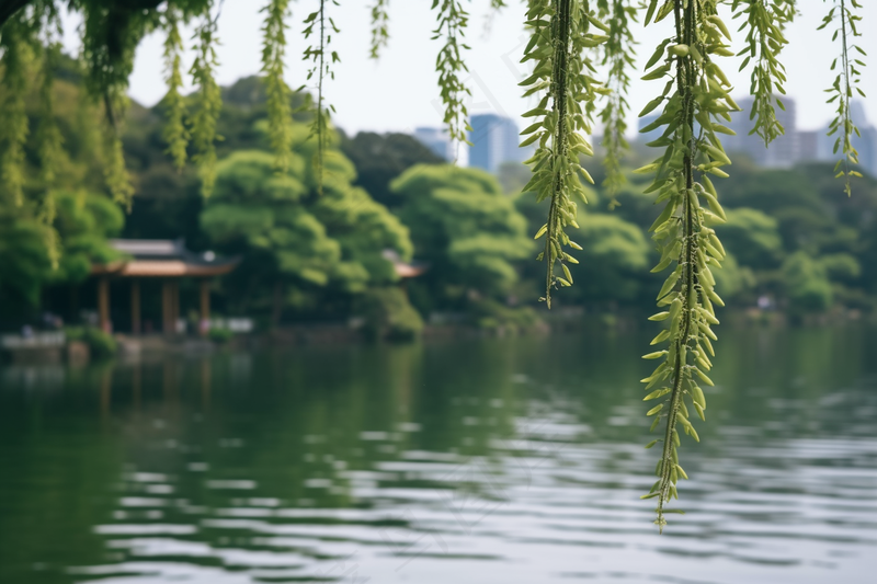 湖边风景绿意树枝摄影图