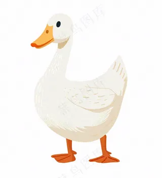 大白鸭鸭子牲畜动物卡通插画免抠