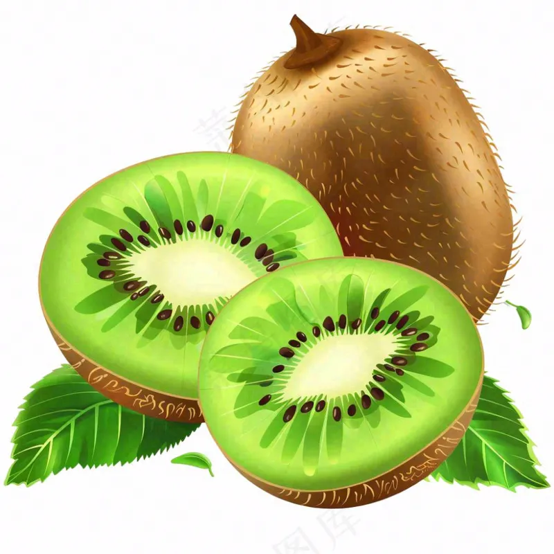 猕猴桃水果卡通插画免抠(1024x1024)