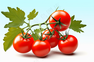 番茄西红柿蔬菜水果摄影图