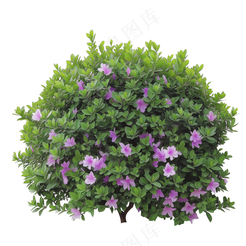 免抠开花灌木